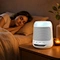 white noise machine for adults